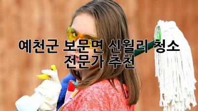 예천군 보문면 신월리 청소 전문가 추천